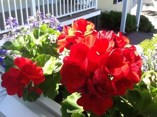 Harbor House Inn - image 27
