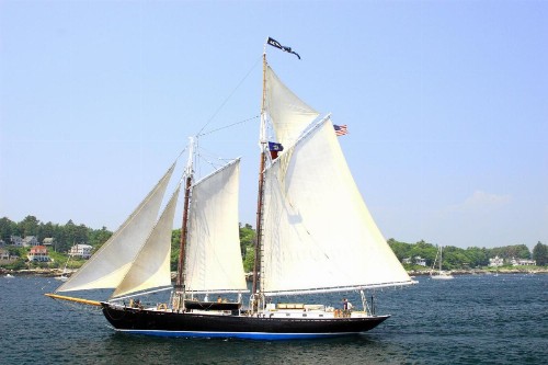 Boothbay Beauty - image 6