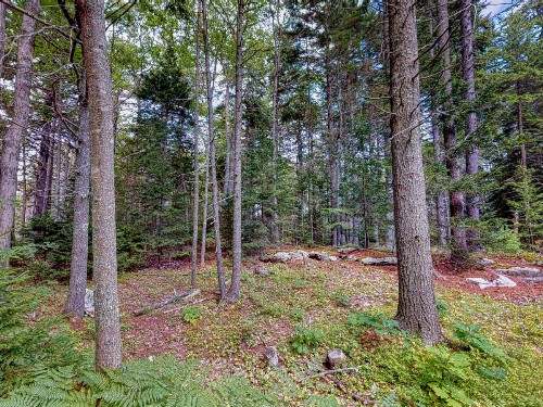 Bon Abri - image 8