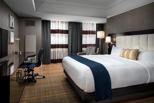 Loews Boston Hotel - image 19