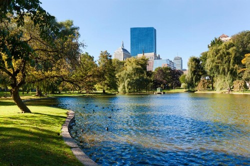 Fairmont Copley Plaza - image 30