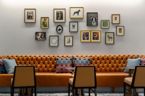 Boston Hotel Commonwealth - image 38