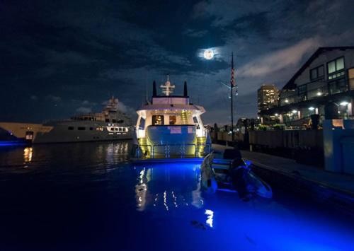 Boston Yacht Haven - image 30