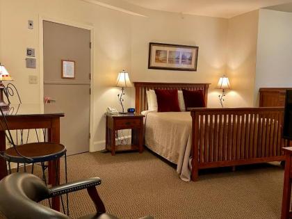 Oasis Guest House - image 8