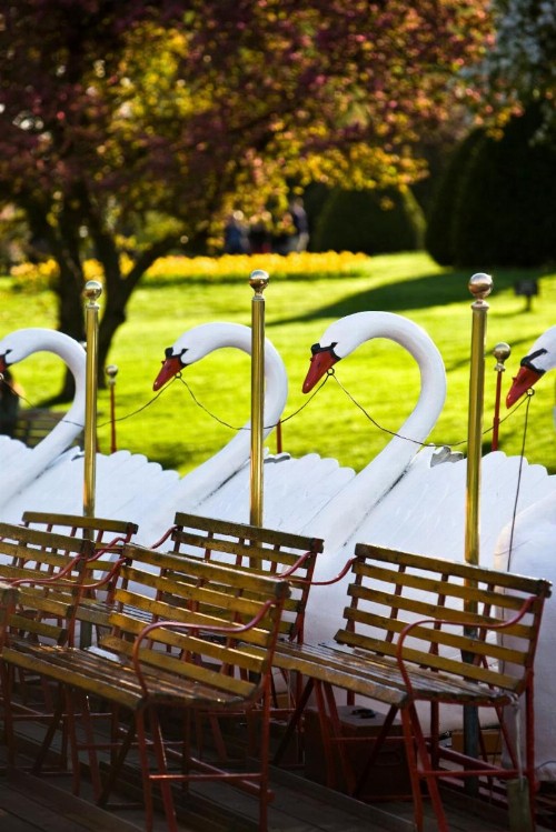 Mandarin Oriental Boston - image 23