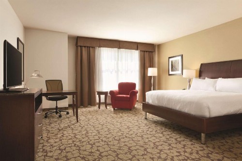 Hilton Garden Inn Boston Logan Airport - image 12