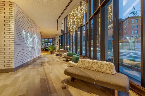 Cambria Hotel Boston Downtown-South Boston - image 4
