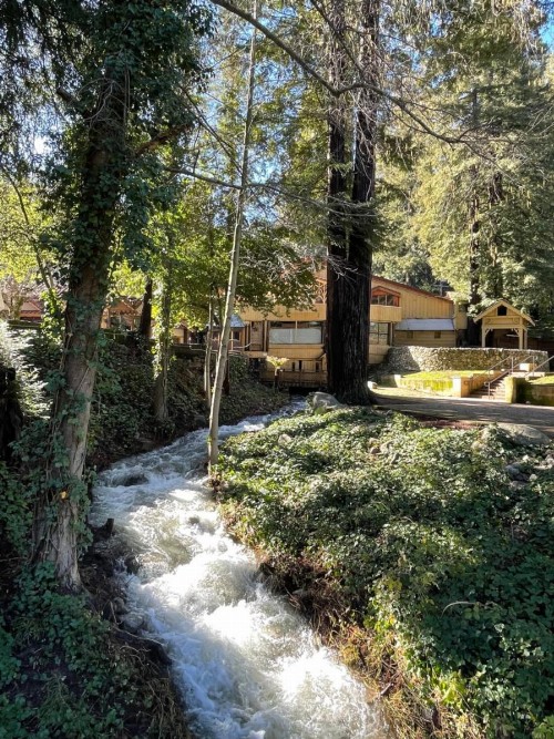 The Historic Brookdale Lodge - image 12