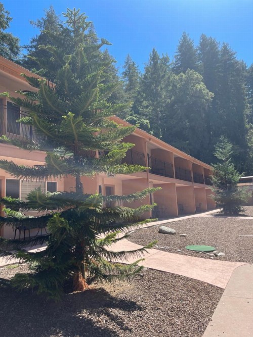 The Historic Brookdale Lodge - image 16
