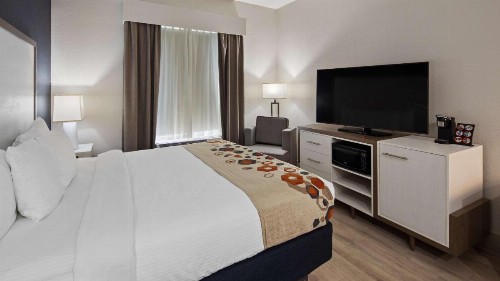 Best Western Heritage Inn and Suites - image 20