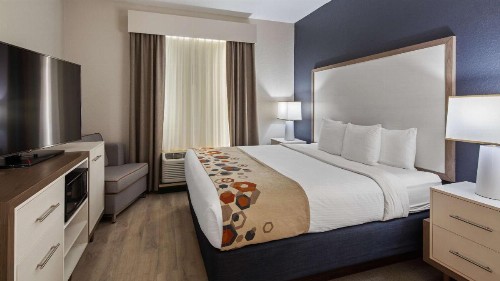 Best Western Heritage Inn and Suites - image 25