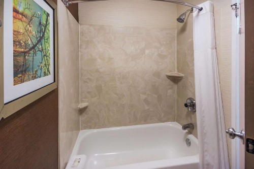 Quality Inn & Suites - image 24