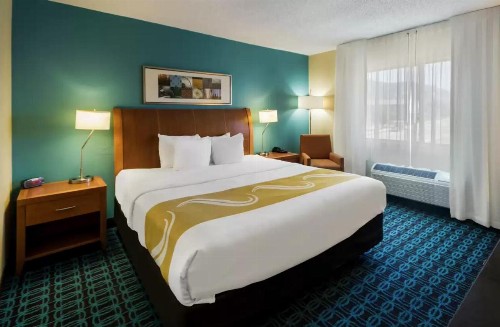 Quality Inn & Suites - image 44