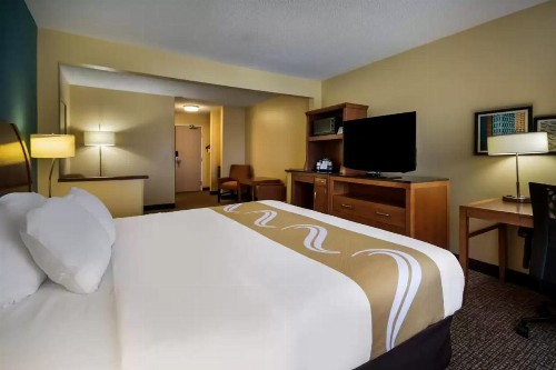 Quality Inn & Suites - image 48