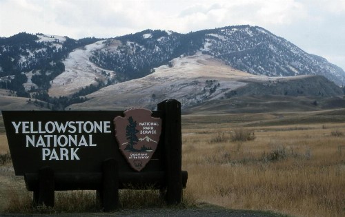 MountainView Lodge and Suites - image 22