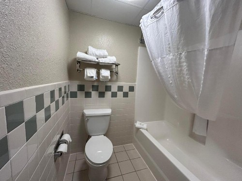 MountainView Lodge and Suites - image 30