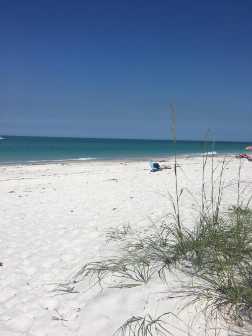 Coquina Beach Club Condo - image 5