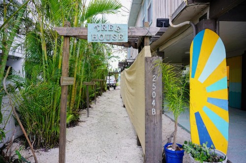 AMI Tree House - image 21