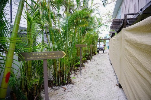 AMI Tree House - image 22