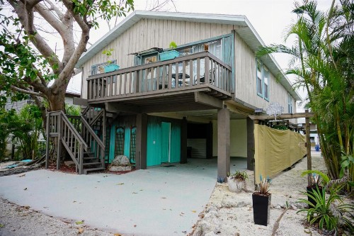 AMI Tree House - image 36