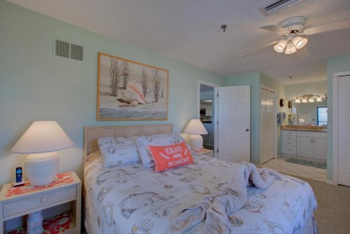 Beach Sands 201 - image 10