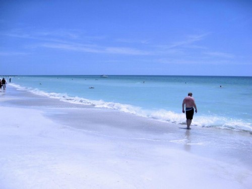 The Anna Maria Island Beach Sands 203 - image 10