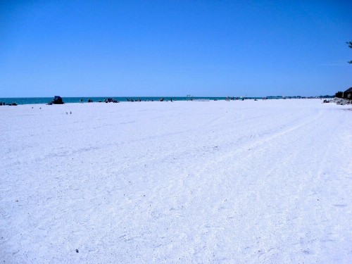 The Anna Maria Island Beach Sands 101 - image 39