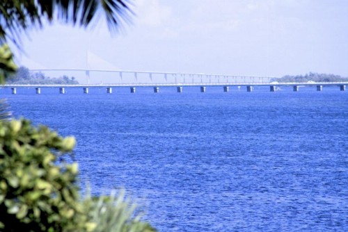 The Anna Maria Island Beach Palms 6B - image 2