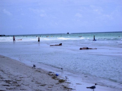 The Anna Maria Island Beach View 209 - image 6