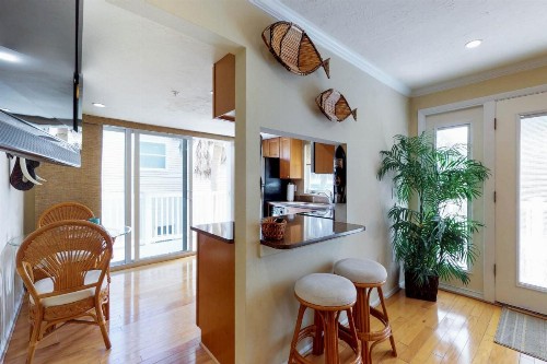 Safari Suite - image 11