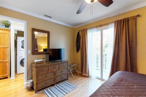 Safari Suite - image 5
