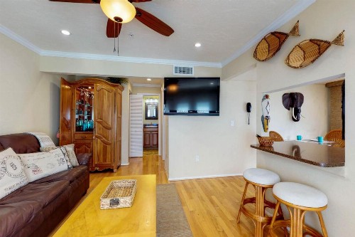 Safari Suite - image 7