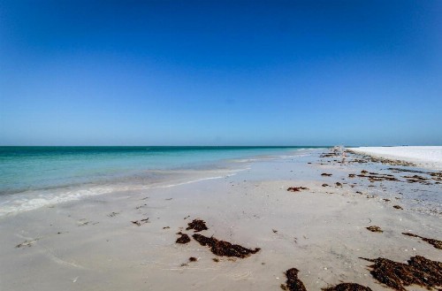 A Place in Paradise - image 7