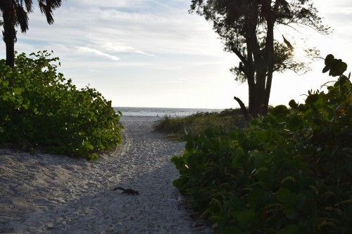 Runaway Bay 185 - 1357300 - image 16