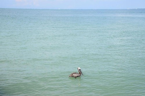 Runaway Bay 185 - 1357300 - image 23