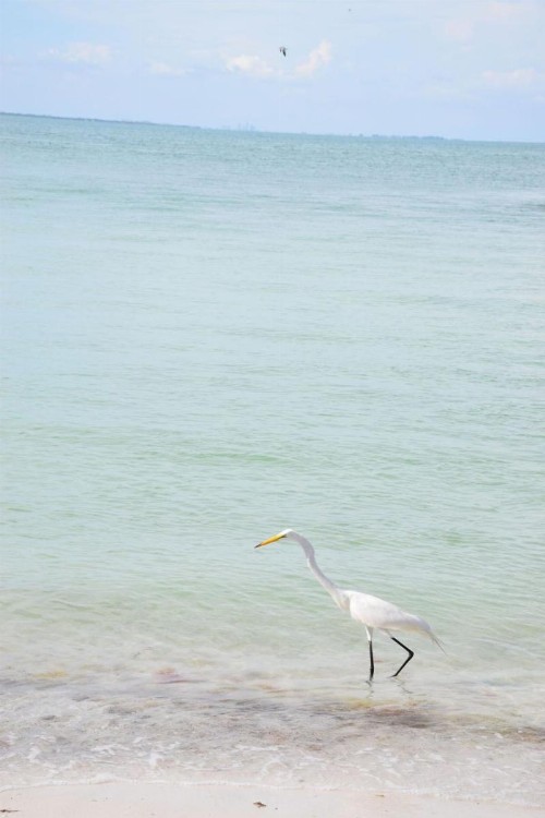 Runaway Bay 185 - 1357300 - image 42