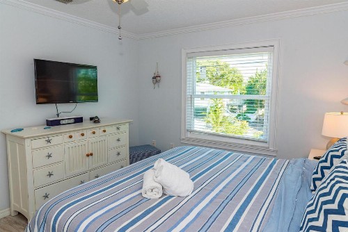 White Shell - image 8