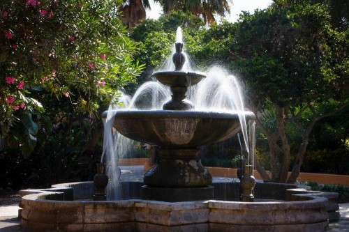 Courtyard by Marriott Bradenton Sarasota/Riverfront - image 24