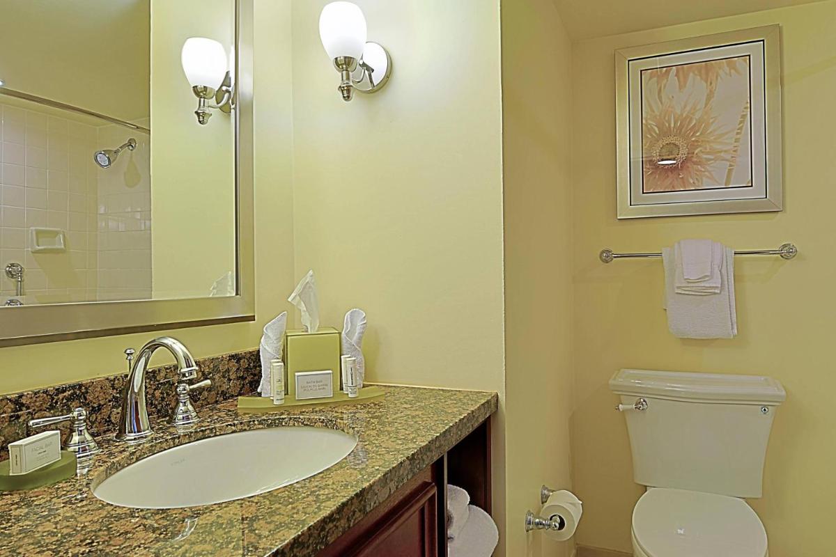 Courtyard by Marriott Bradenton Sarasota/Riverfront - image 6
