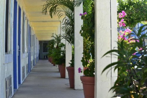 Americas Best Value Inn - Bradenton - image 21