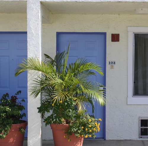 Americas Best Value Inn - Bradenton - image 26