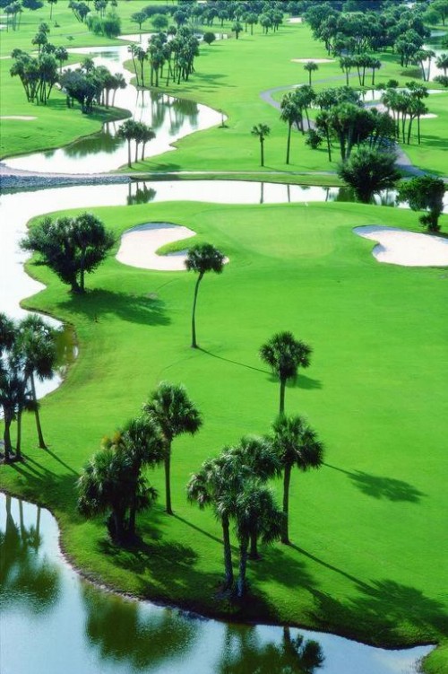 Americas Best Value Inn - Bradenton - image 31