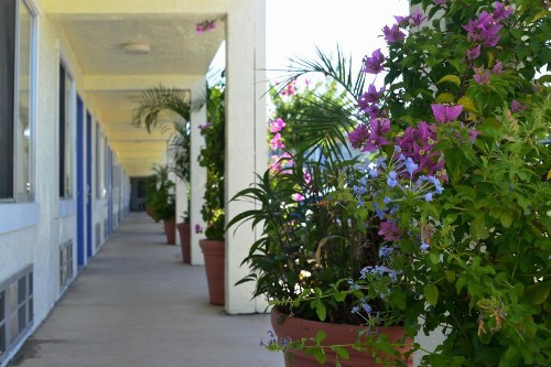 Americas Best Value Inn - Bradenton - image 4