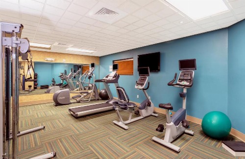Holiday Inn Express & Suites Bradenton East-Lakewood Ranch an IHG Hotel - image 15