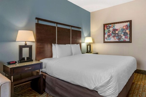 Best Western Plus Bradenton Gateway Hotel - image 13