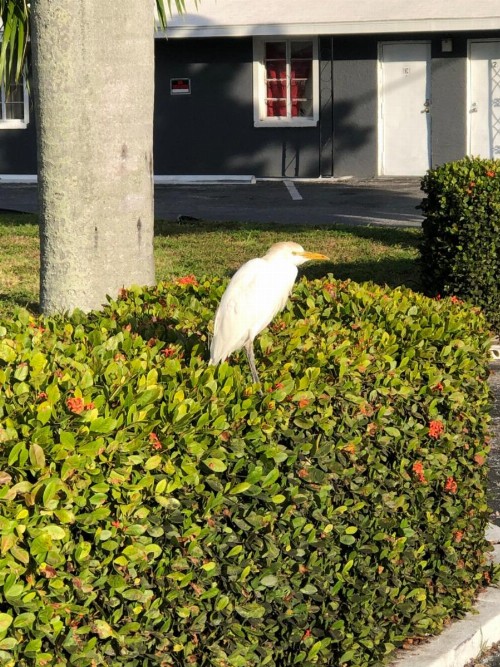 Bay Breeze Inn - image 12