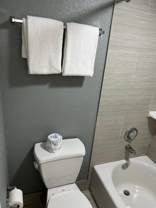 Brandon Motor Lodge - image 38