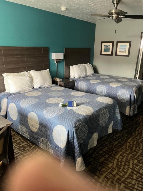 Brandon Motor Lodge - image 39
