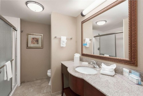 Hampton Inn Branson - Branson Hills - image 31
