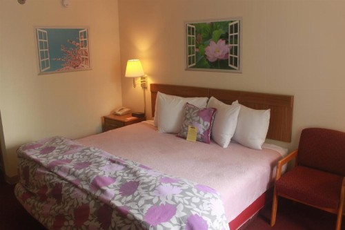 Ozark Valley Inn - image 19